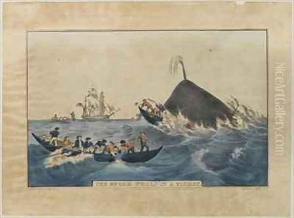 The Sperm Whale in a Flurry - view 1