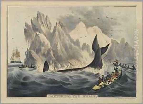 Capturing the Whale - view 1