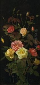 Roses Jaunes Et Roses