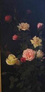 Roses In Bloom