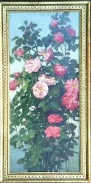 Roses - view 1