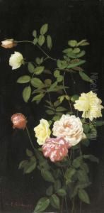 Still Life: Roses I