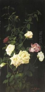 Still Life: Roses Ii