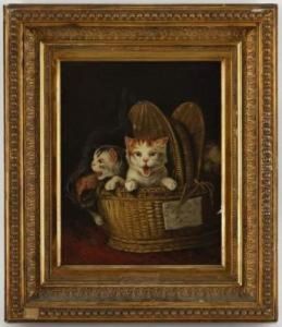 Chatons Dans Un Panier