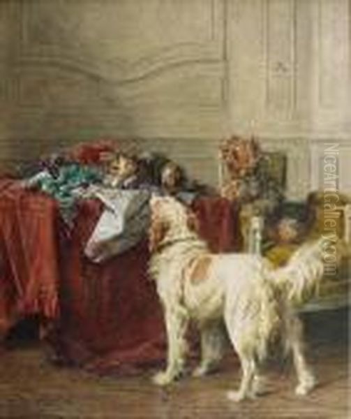 Chiens Et Chats - view 1