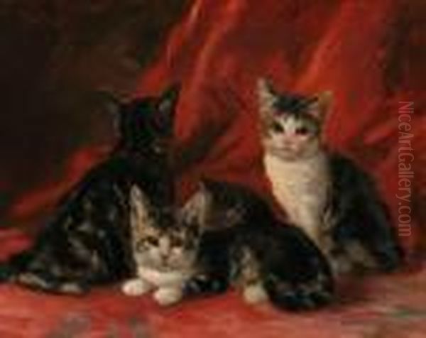 Three Kittens - view 1