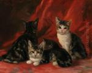 Three Kittens