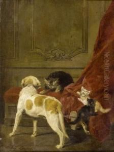 Chien Et Chats Jouant