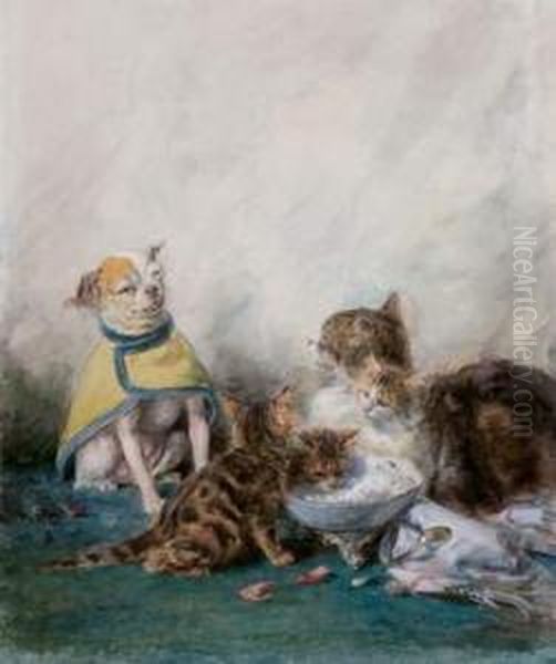 Chats Et Chiens - view 1