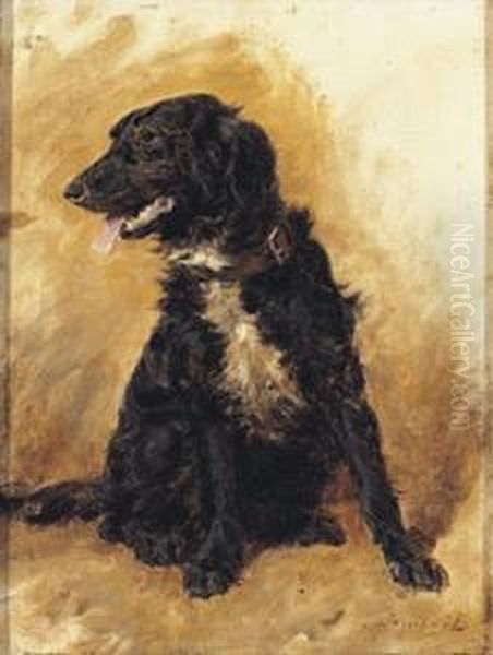 Dog Portrait - view 1
