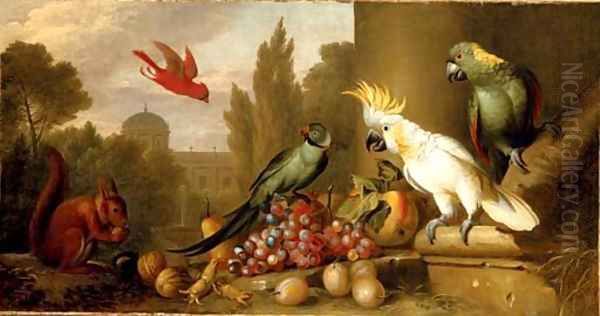 A Cardinal, a Plum-Headed Parakeet, a Lesser Sulphur-Crested Cockatoo, a Yellow-Naped Amazon - view 1