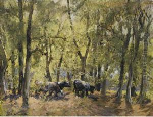 Shaded Grazing; A Moment At Rest