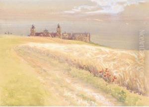 The Clifftop Path The Clifftop Path