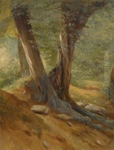 Sous-bois A Monfort by Jean-Pierre-Francois Lamoriniere