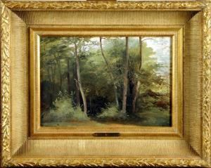 Sous-bois Sous-bois