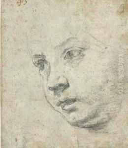 The Head Of A Boy Turned To The Left