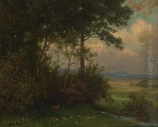 Abendstimmung Am Waldrand. - view 1