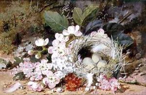 Still Life of Birds Nest with Primulas