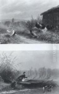 Hahn Und Hennen In Der Landschaft (#) Enten Am Teich