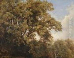 Fronde by Julius Lange