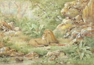 Lion Couche