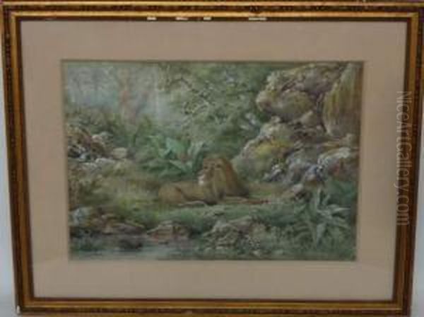 Le Vieux Lion - view 1
