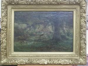 Paysage De Sous Bois Anime
