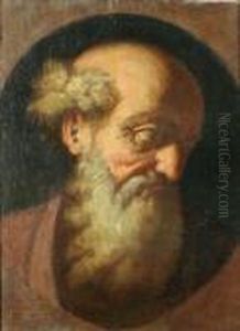 Study Of Head by Giovanni Battista Langetti