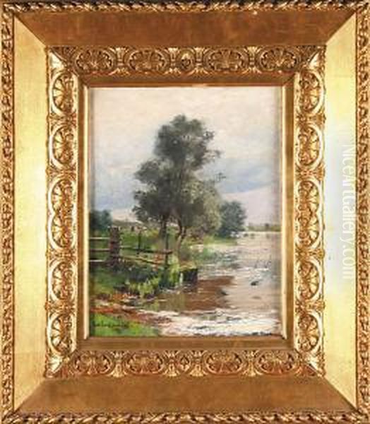 Jaskolki Nad Stawem, 1898 R. - view 1