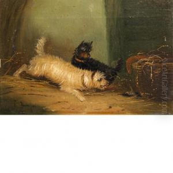 Dogs Ratting - view 1