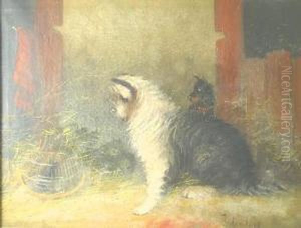 Terriers Ratting - view 1