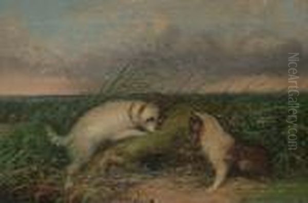 Terriers In The Countryside; Terriers In The Barn. - view 1