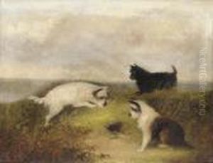 Terriers Ratting by J. Langlois