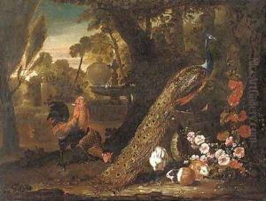 A peacock, a cockerel by David de Coninck