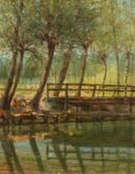 Paesaggio - view 1