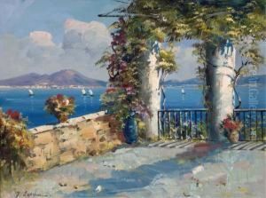Verdant Terrace Overlooking A Sunlit Bay