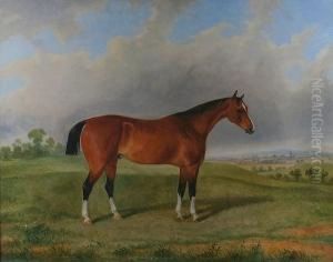 A Chestnut Hunter Before A Landscape