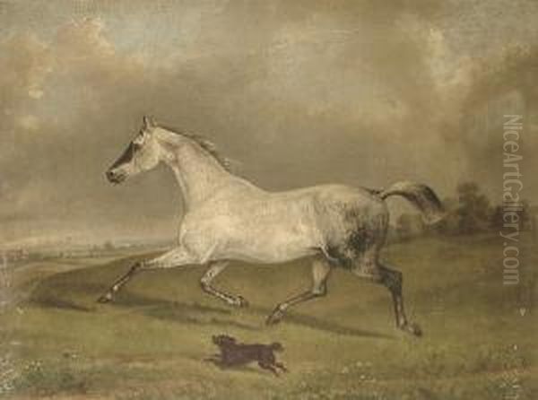 A Grey Called 'lily' - view 1