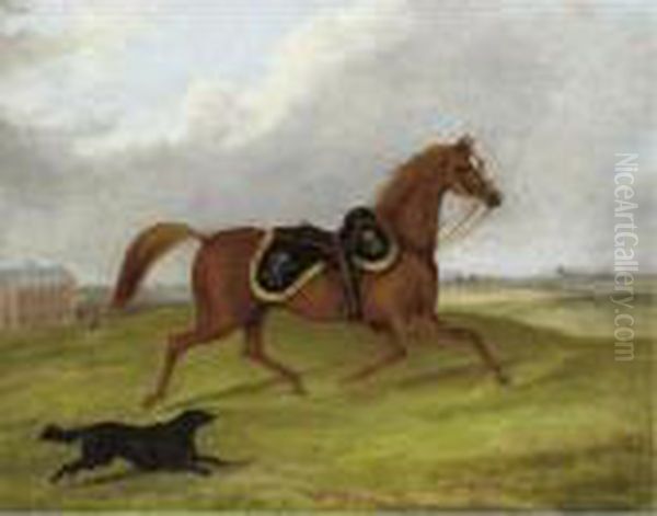 Charger From The 5th Irish Lancers - view 1