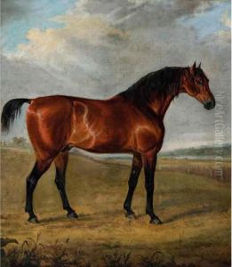 A Chestnut Hunter