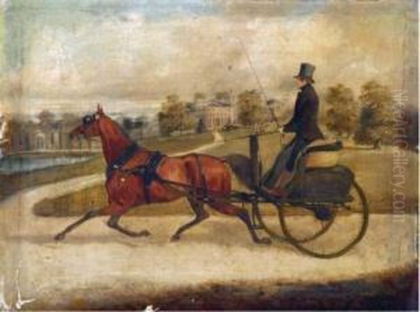 Gentleman Driving A Gig - view 1