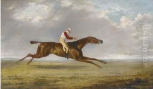 Sam, A Racehourse With Jockey Up