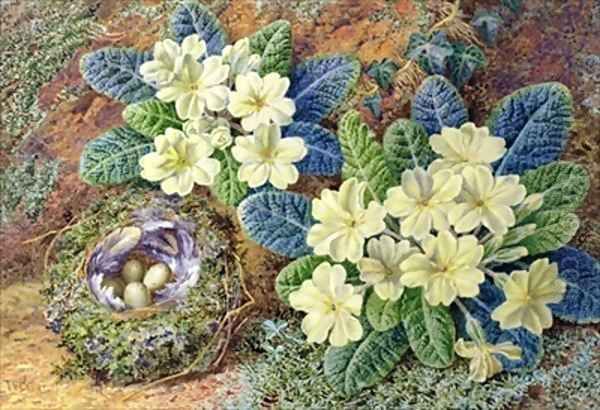 Primroses and a birds nest - view 1