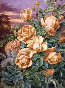 Yellow Roses