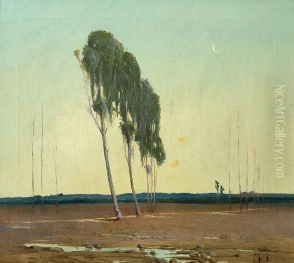 Atardecer En El Campo - view 1