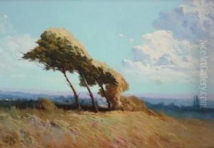 Tarde De Viento by Ernesto Laroche
