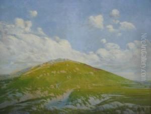 Cerro Uruguayo by Ernesto Laroche