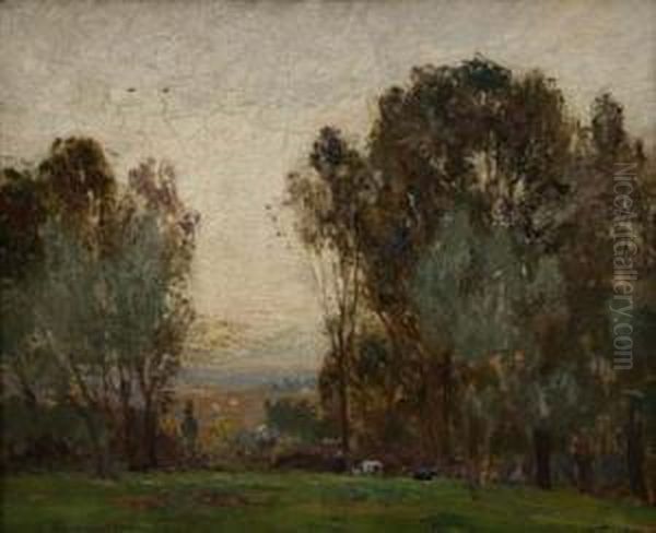 Paisaje - view 1