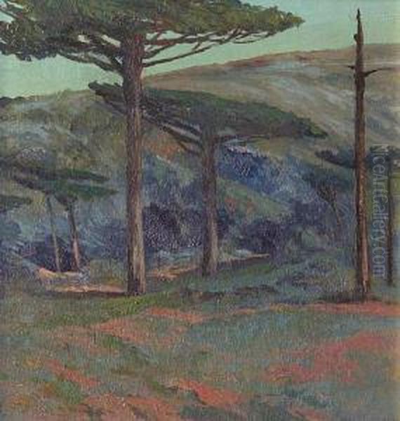 Mas Alla De La Frontera - view 1