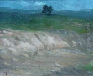 Paisaje Con Barranca